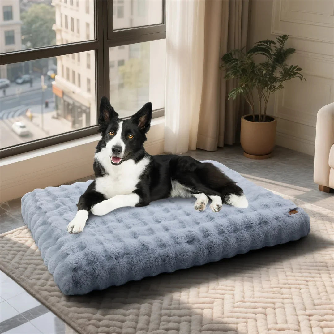 Ultra-Soft Dog Bed with Removable Cover