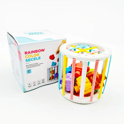 Montessori Sensory Development Educational Toys