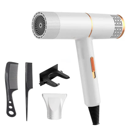 Professional Negative Ionic Hair Dryer