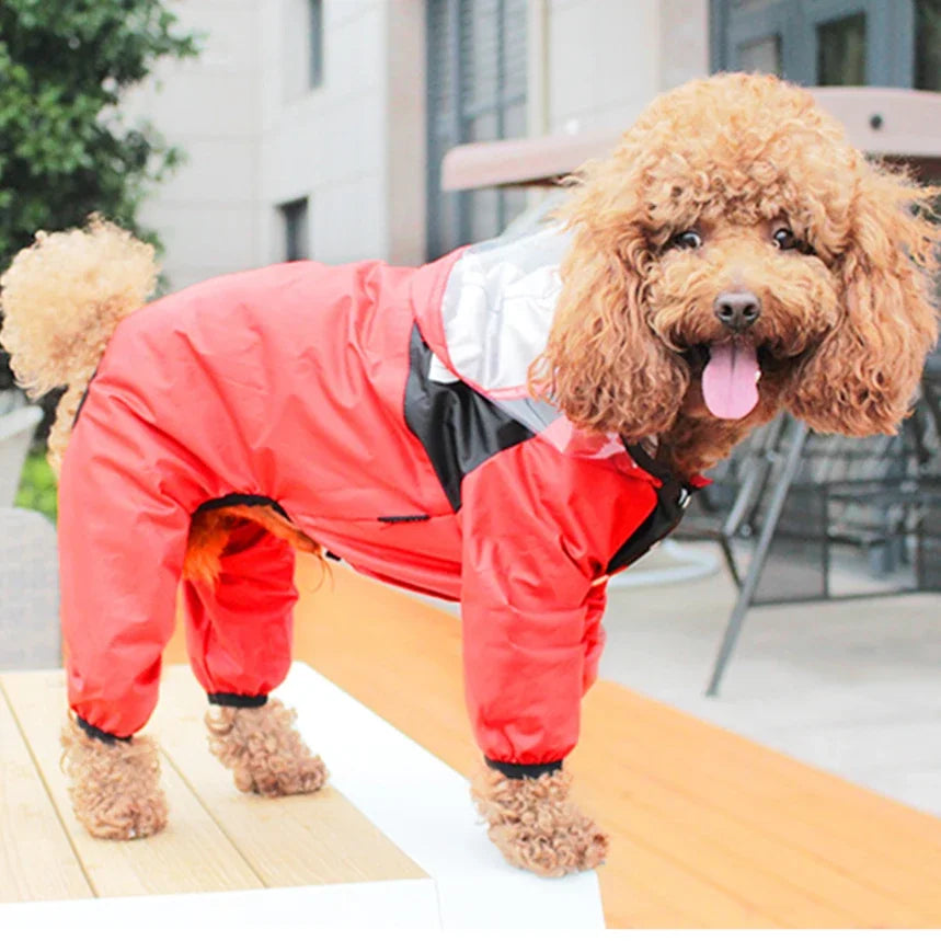 Transparent Hooded Waterproof Dog Raincoat