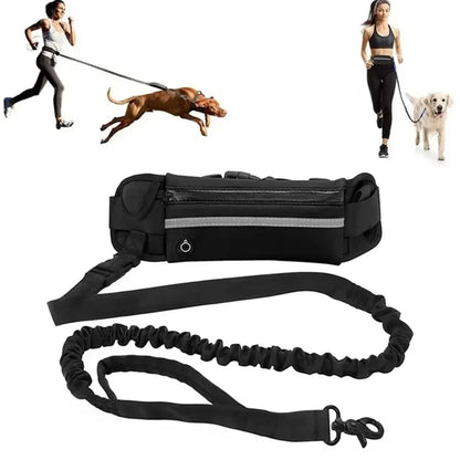 Hands-free dog leash, view 5