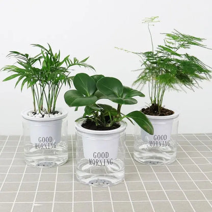 Self-watering  Hydroponic Flower Pot