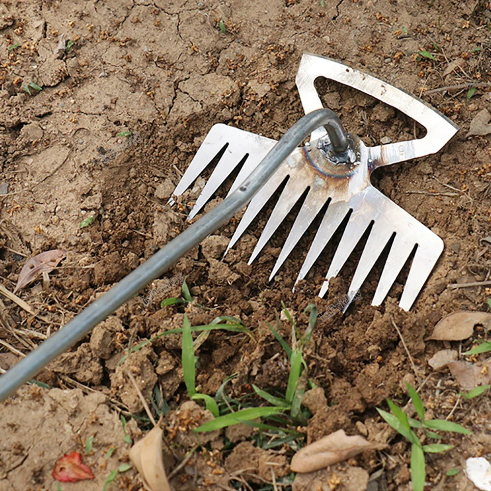 Multifunctional weeding Tool