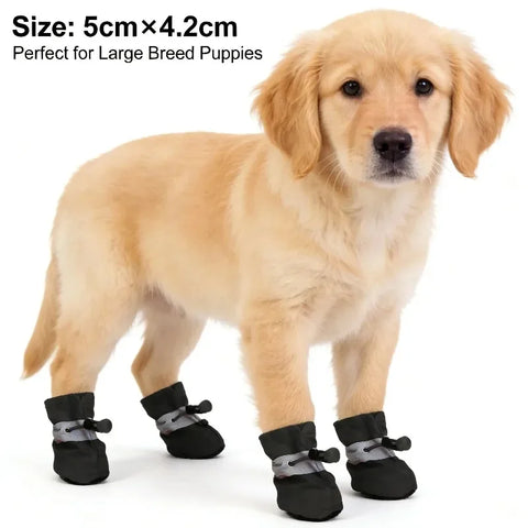 MONLANE