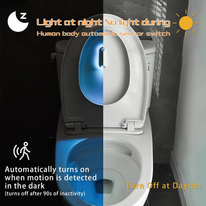 Toilet Night Light Motion Sensor Light