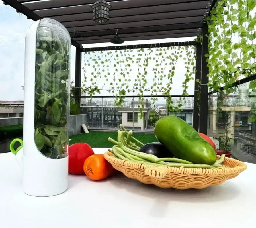 Refrigerator Herb Crisper Saver Container Vegetable