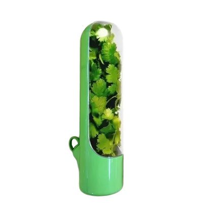 Herb keeper container in green, single