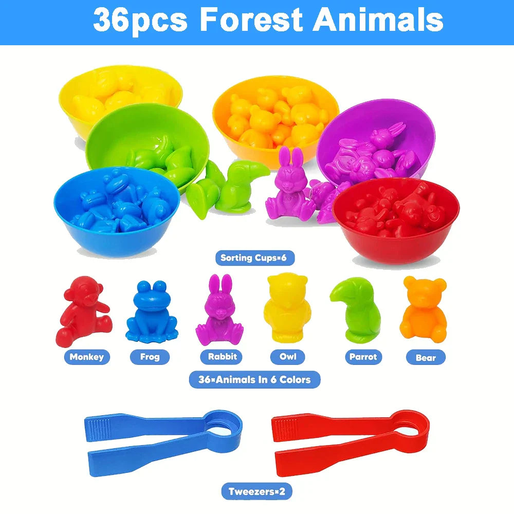 Montessori Animal Sorting Toy