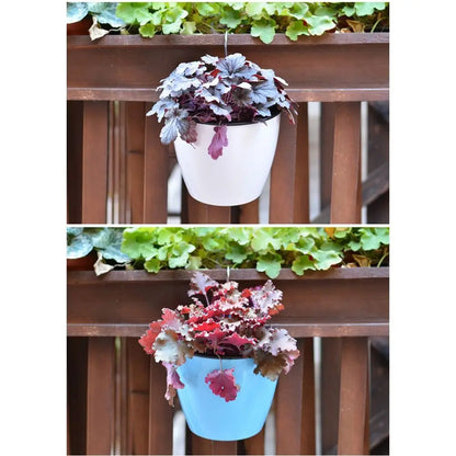 Self Watering Flower Pot