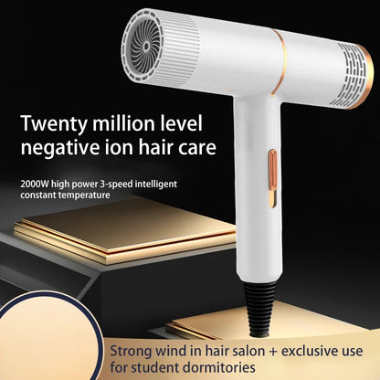 Professional Negative Ionic Hair Dryer