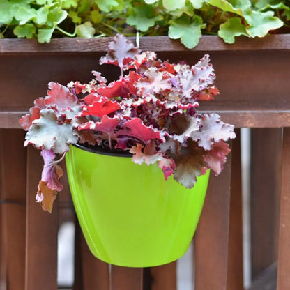 Self Watering Flower Pot