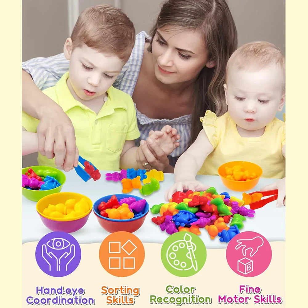 Montessori Animal Sorting Toy