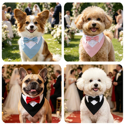 The Pawsh Pup Bandana
