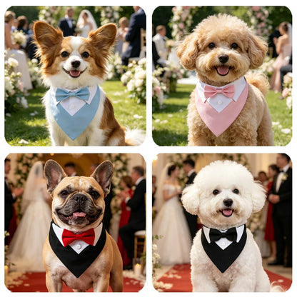 The Pawsh Pup Bandana