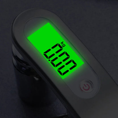 Portable Digital LCD Hanging Scale