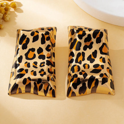 A Pair of Fashionable Women's Earrings