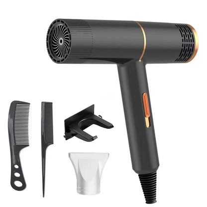 Professional Negative Ionic Hair Dryer
