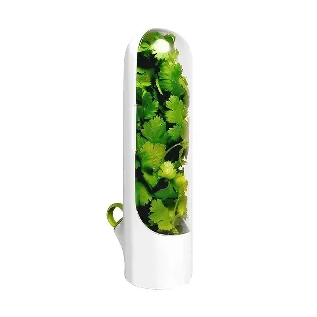 Herb keeper container in white, single