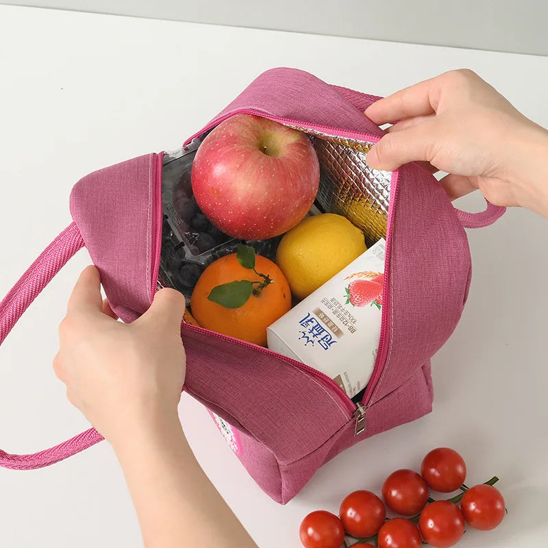 Large Capacity Tote Picnic Lunchbox