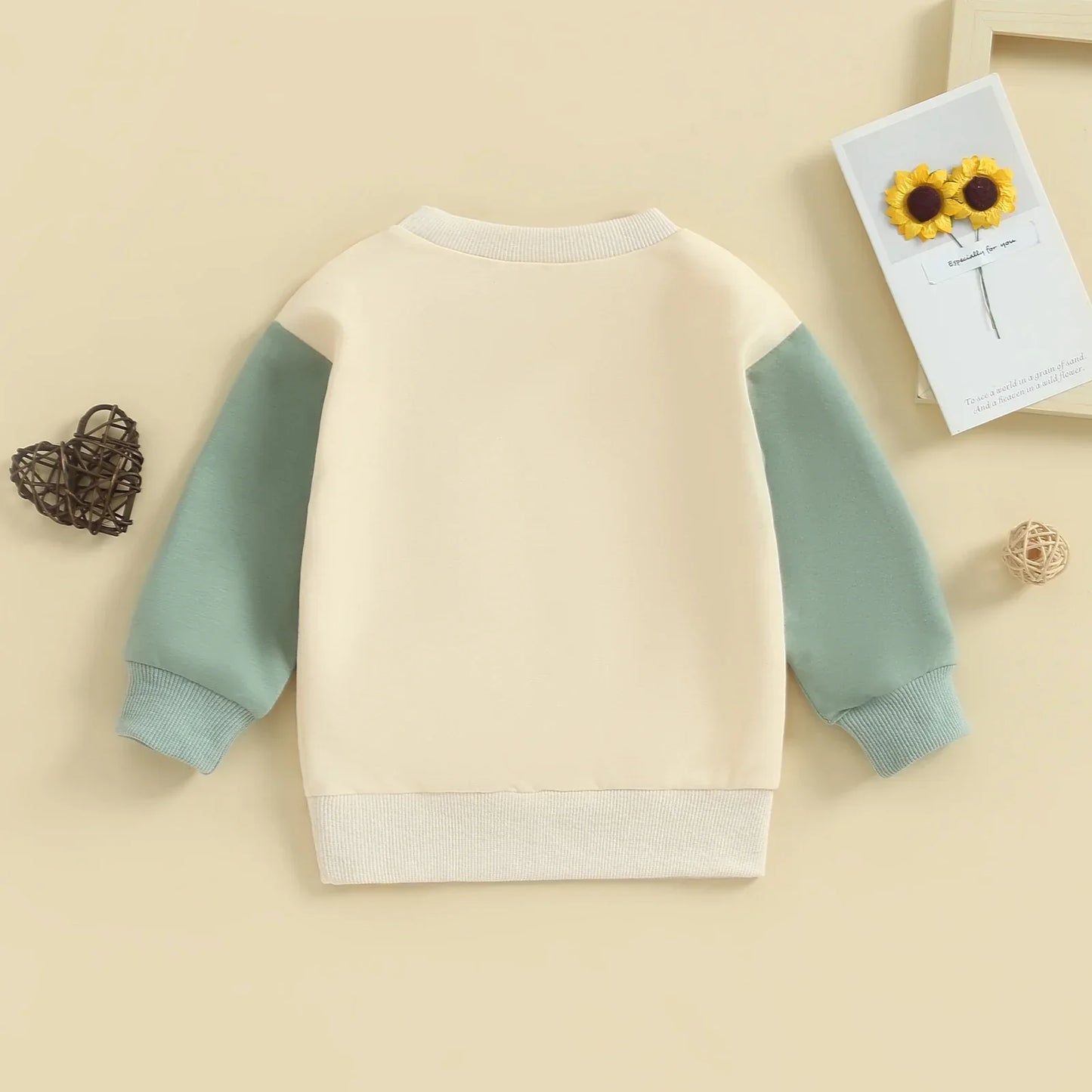 Baby Sweatshirt Pullover