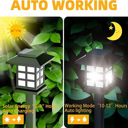 Solar LED Pathway Lights