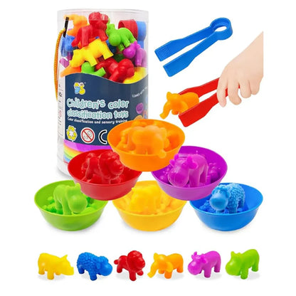 Montessori Animal Sorting Toy