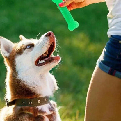 Aggressive Chewers Dog Toothbrush