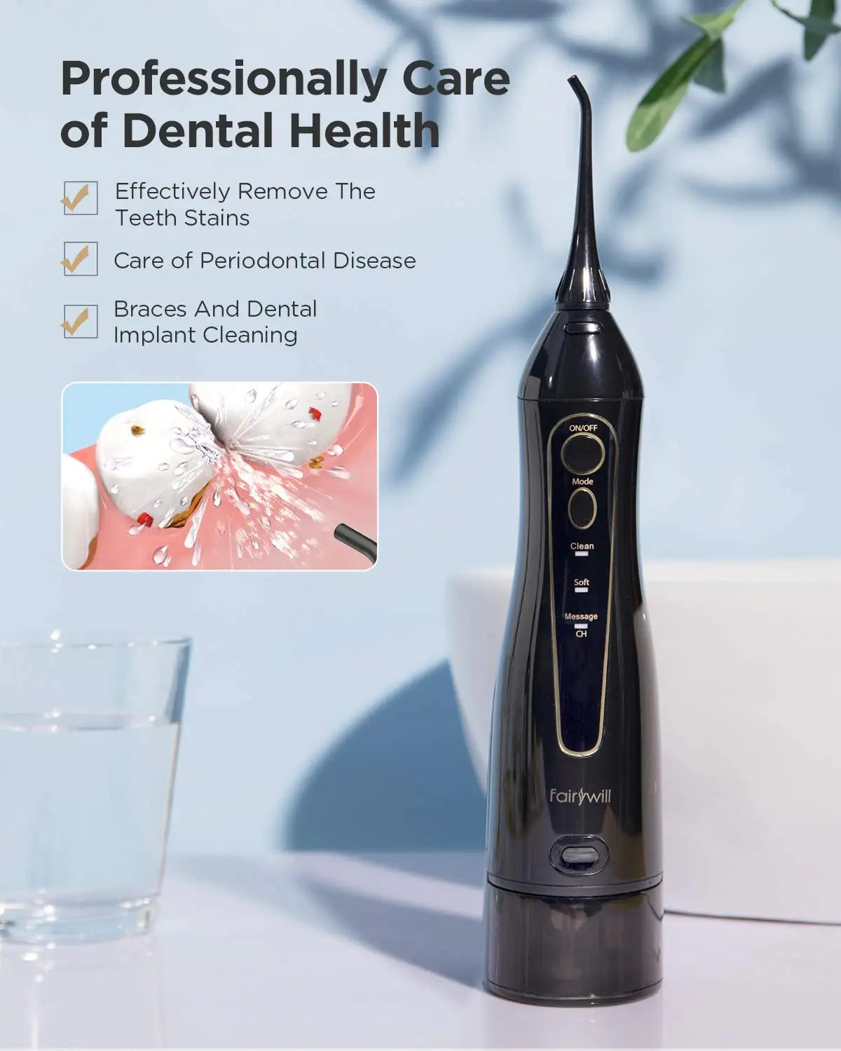 Electric Sonic Toothbrush & Water Flosser