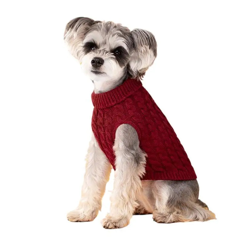 Turtleneck Knitted Dog Sweater