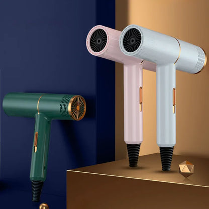 Professional Negative Ionic Hair Dryer