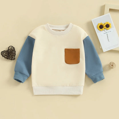 Baby Sweatshirt Pullover