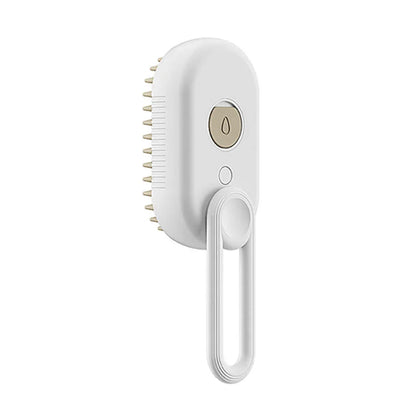 Electric Spray pet Massage Comb