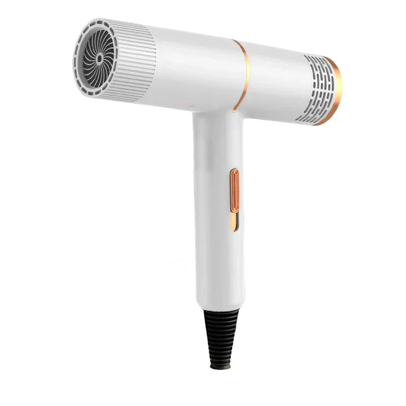 Professional Negative Ionic Hair Dryer