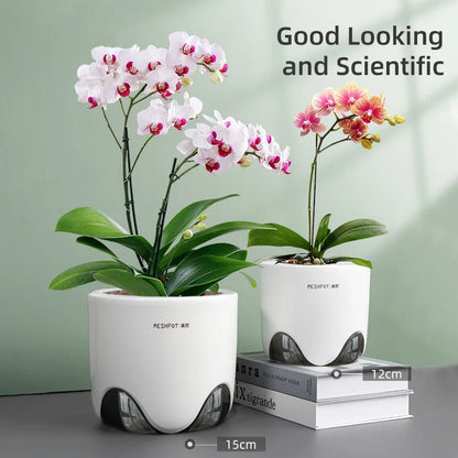 Orchid Pots with Holes