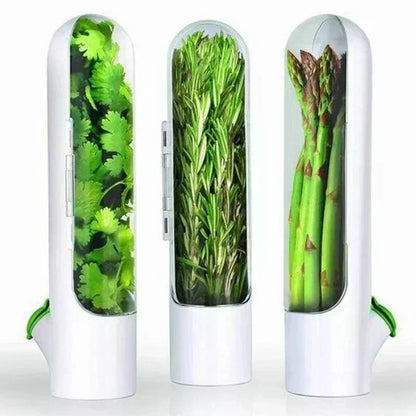 Refrigerator Herb Crisper Saver Container Vegetable