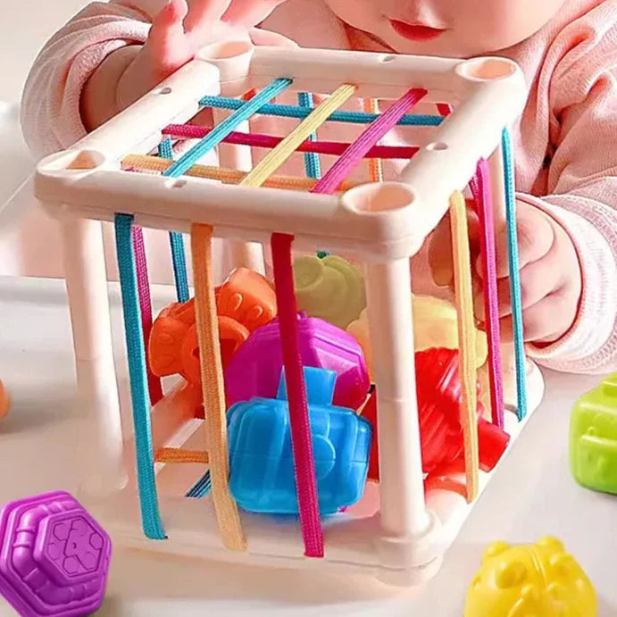 Montessori Sensory Development Educational Toys