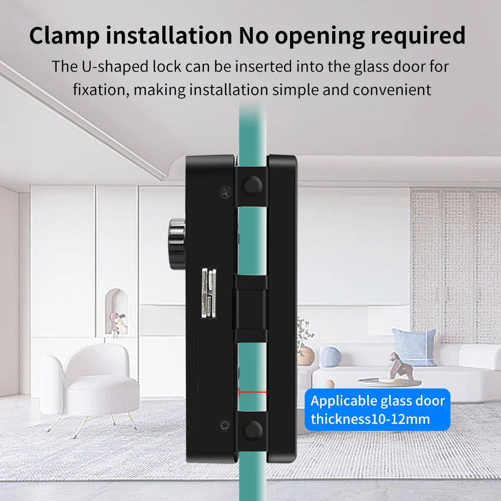 3D Face Recognition Smart Glass Lock