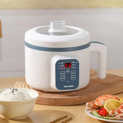 220V Multi-Function Electric Rice Cooker (Single/Double Layer)