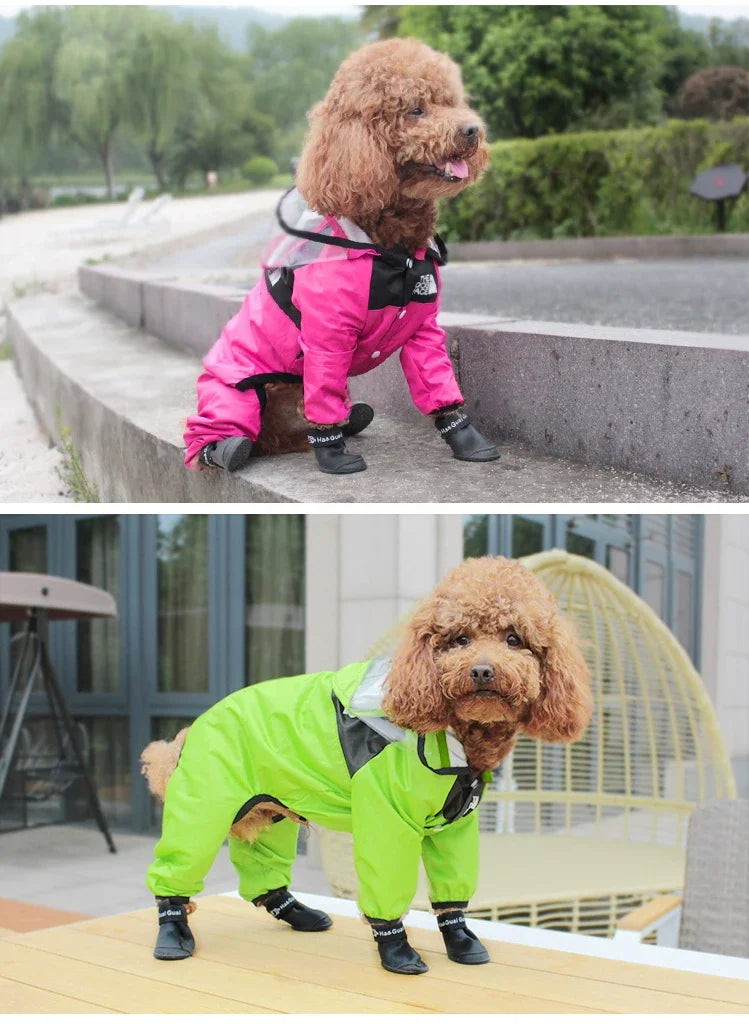 Transparent Hooded Waterproof Dog Raincoat