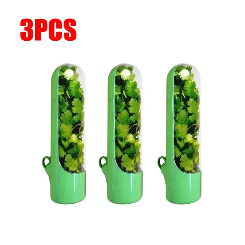 Herb keeper container in green, 3-pack