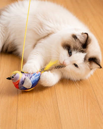 Songbird Toy