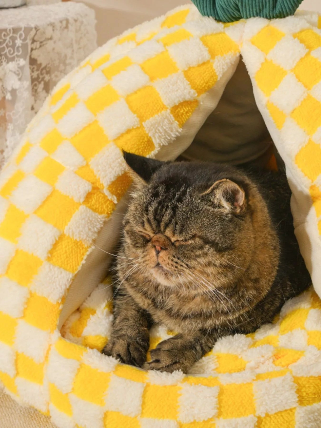 Pineapple Shaped Cozy Pet Nest