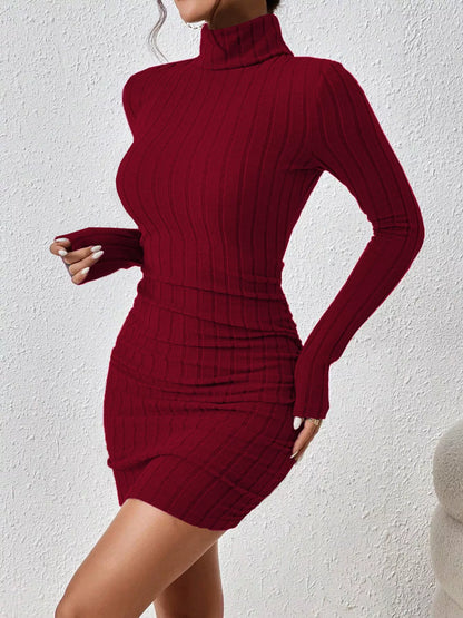 Turtleneck Ribbed Bodycon Knit Dress