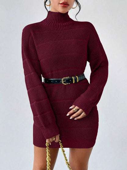 Turtleneck Long Sleeve Sweater Dress