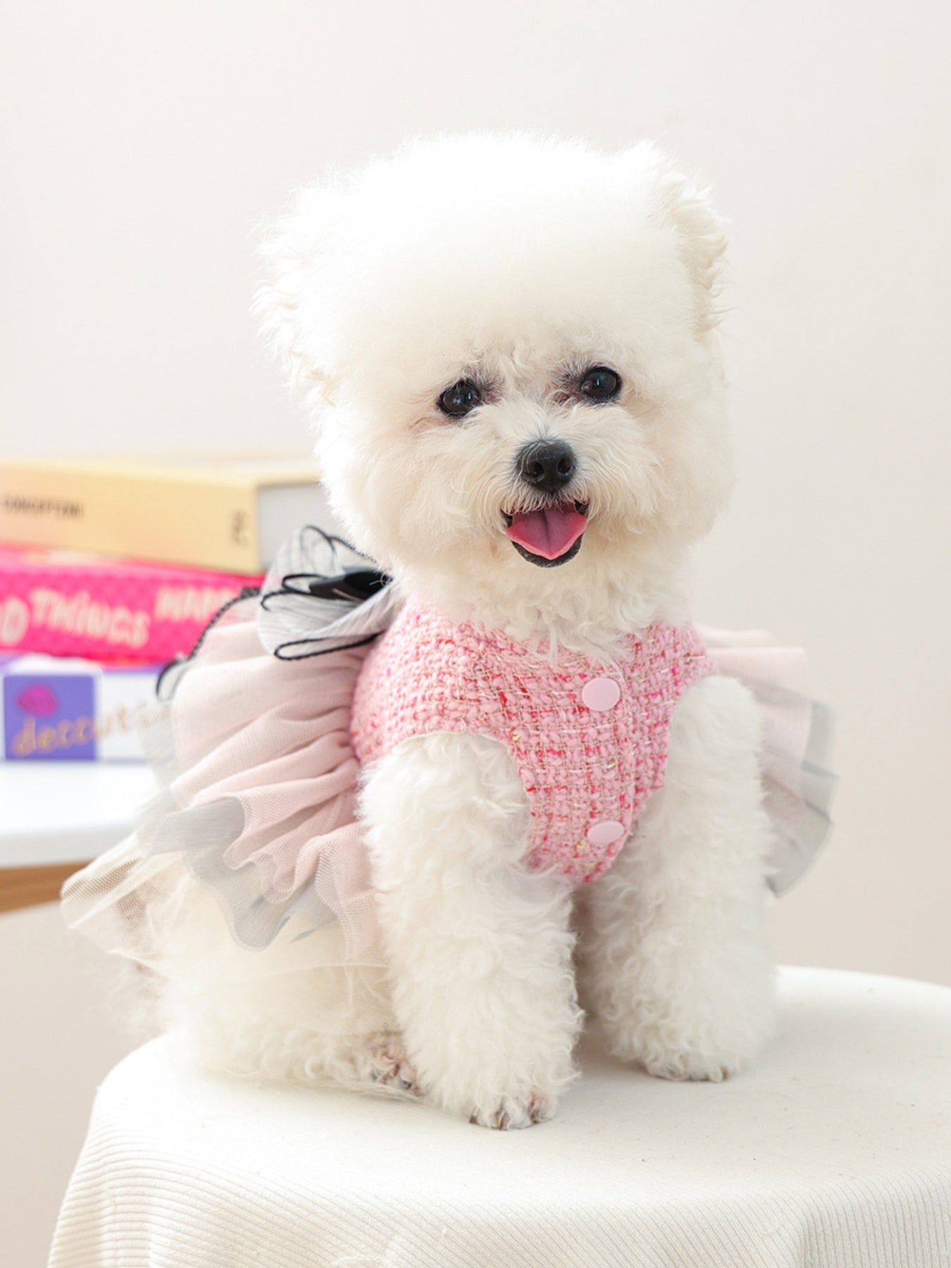 Tweed Pet Dress with Ruffle