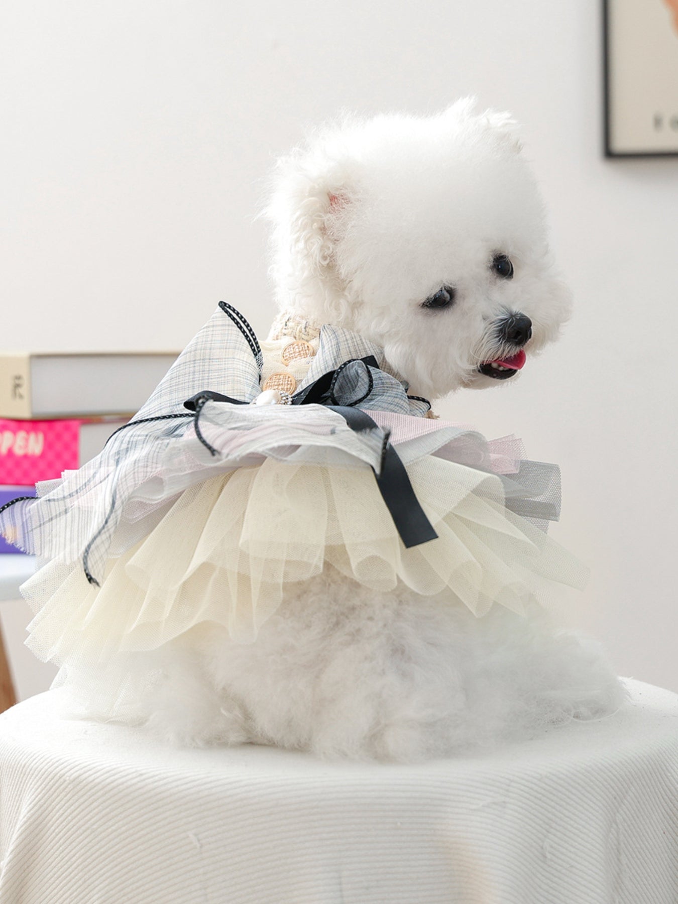 Tweed Pet Dress with Ruffle