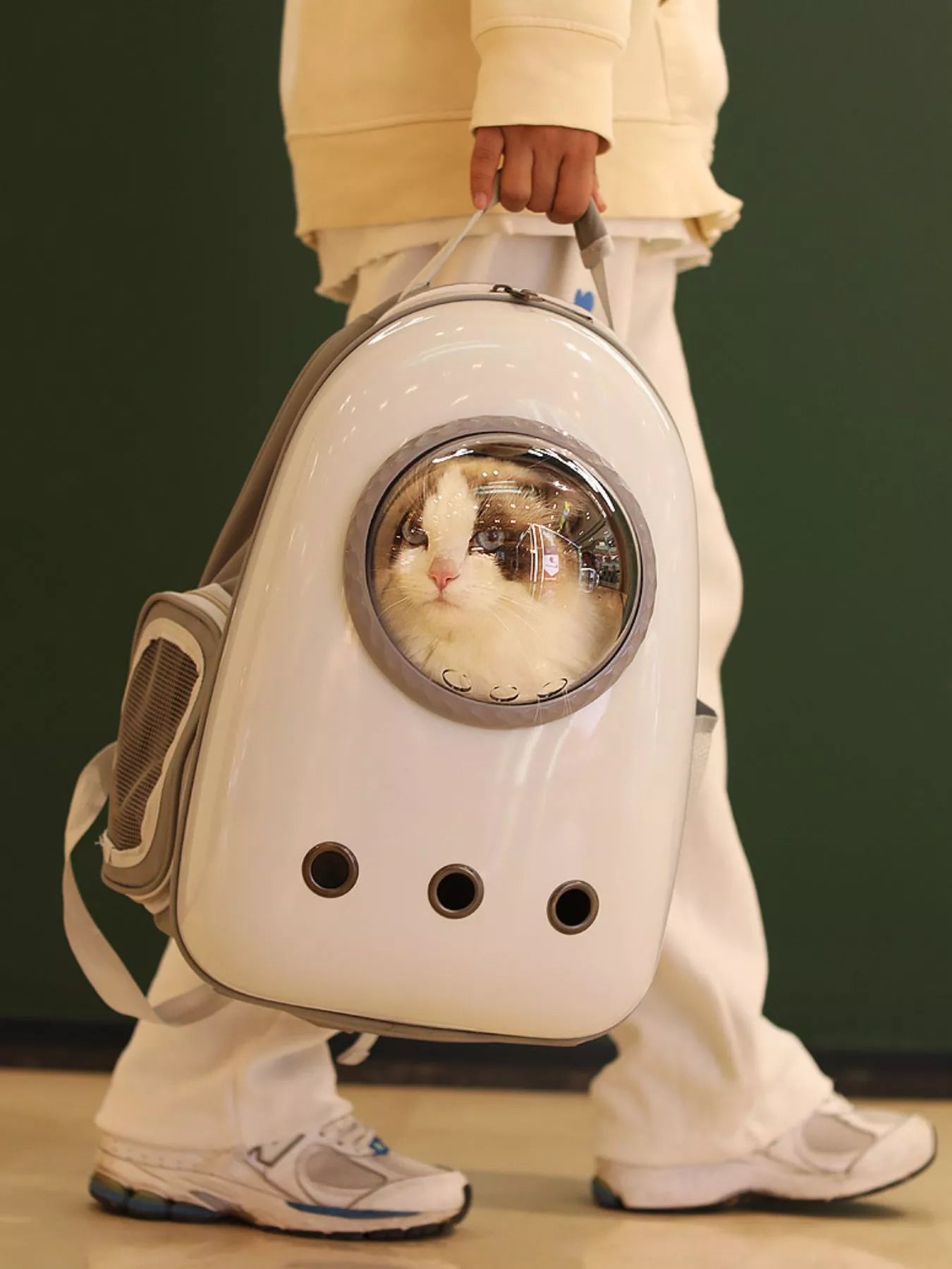 Space Capsule Transparent Pet Carrier Backpack