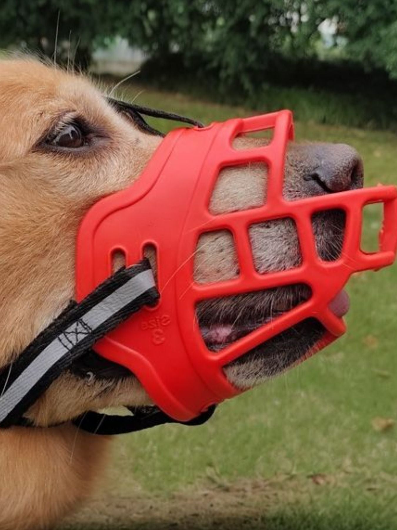 Anti-Bite Pet Muzzle