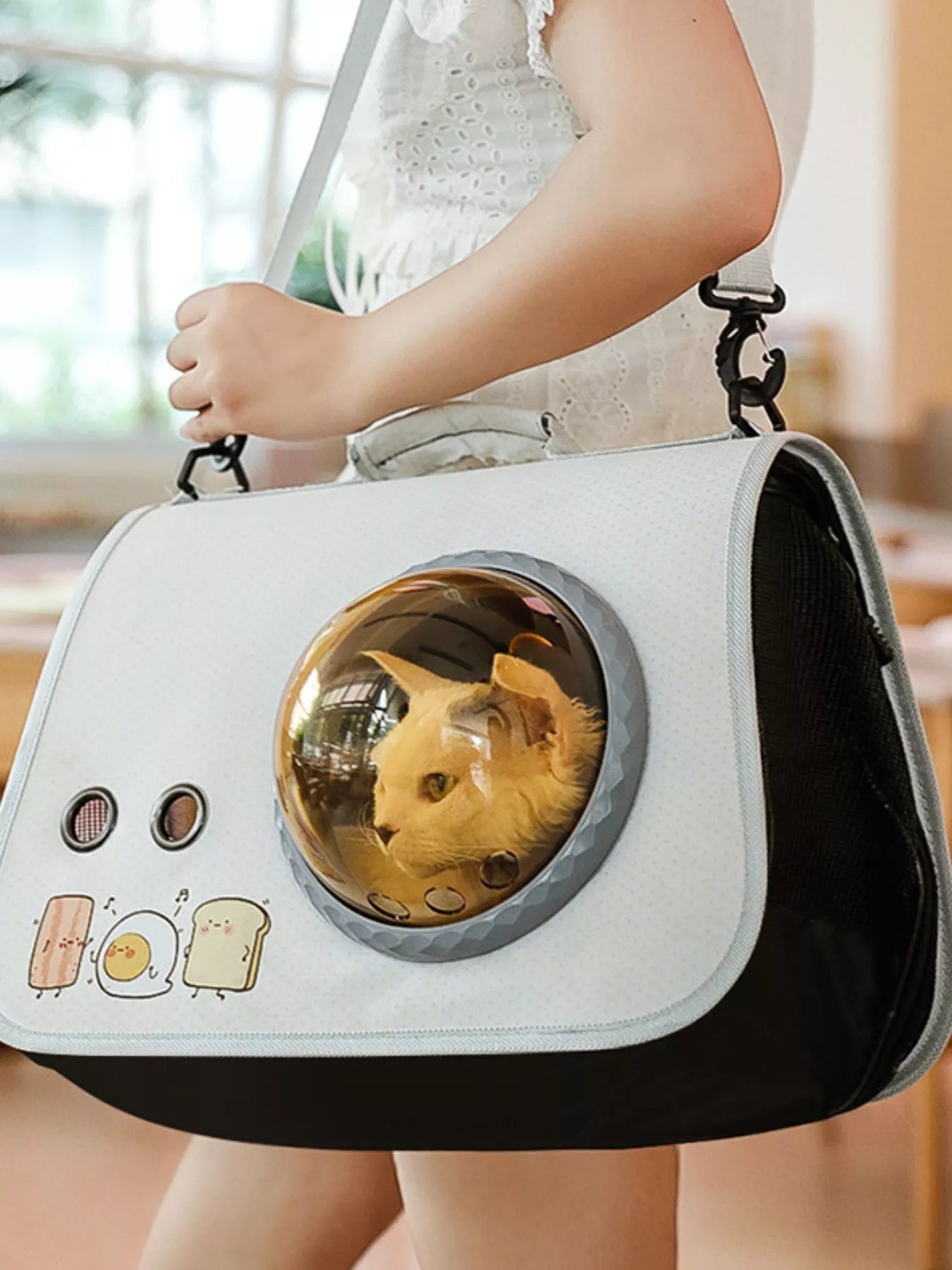 Portable Bubble Window Pet Carrier Bag