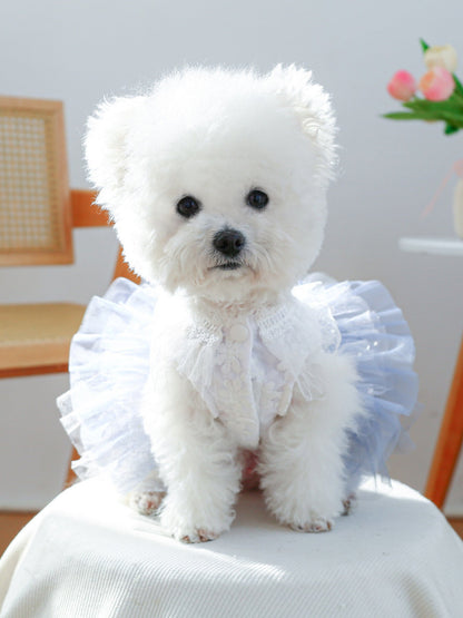 Lace Tutu Pet Dress